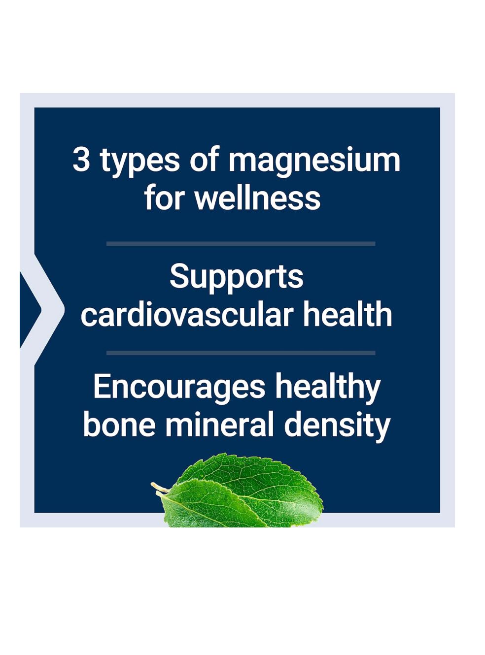 MAGNESIO 100 capsulas vegetarianas