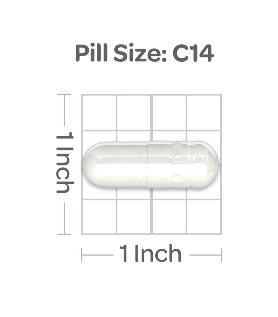 L-ARGININA 1000mg 100 capsulas