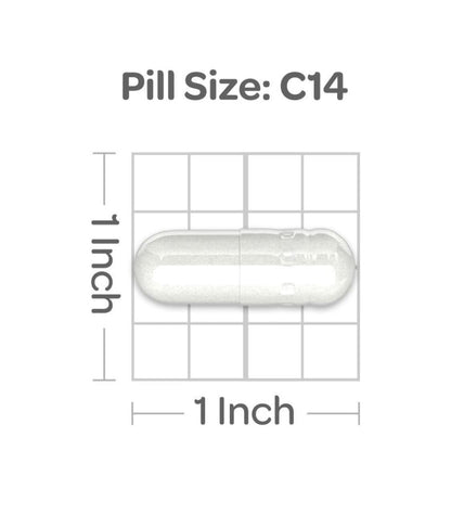 L-ARGININA 1000mg 100 capsulas