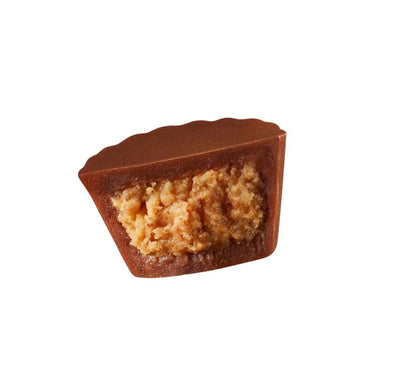https://paygoodecu.com/products/chocolates-reeses-miniatura-de-caramelos-de-chocolate-con-leche-mantequilla-de-mani?_pos=3&_psq=CHOCOLATE&_ss=e&_v=1.0